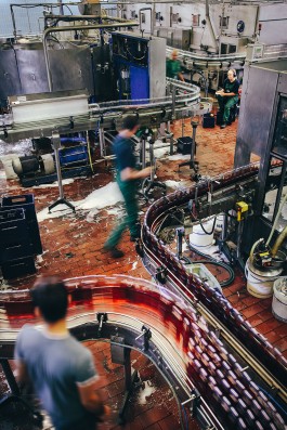 VERENA MÜLLER  Fotografie