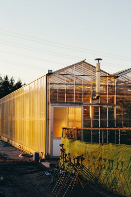 VERENA MÜLLER  Fotografie