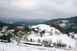 VERENA MÜLLER  Fotografie