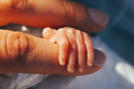 VERENA MÜLLER  Fotografie