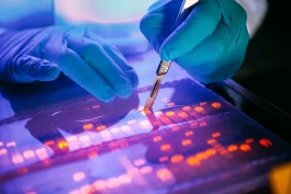 VERENA MÜLLER  Fotografie