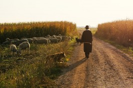 VERENA MÜLLER  Fotografie
