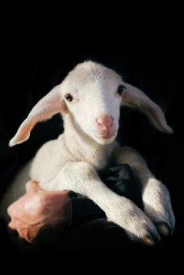 VERENA MÜLLER  Fotografie