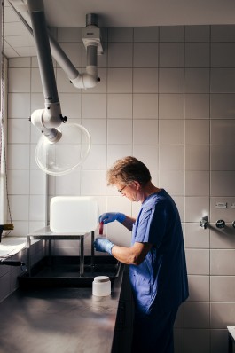 VERENA MÜLLER  Fotografie