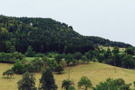 VERENA MÜLLER  Fotografie