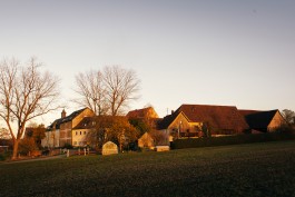 VERENA MÜLLER  Fotografie