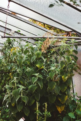 VERENA MÜLLER  Fotografie