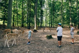VERENA MÜLLER  Fotografie