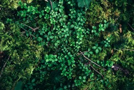 VERENA MÜLLER  Fotografie