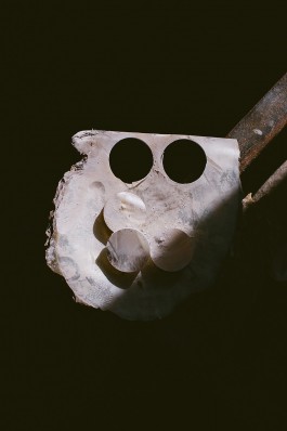 VERENA MÜLLER  Fotografie