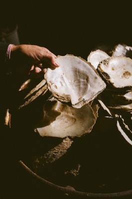 VERENA MÜLLER  Fotografie