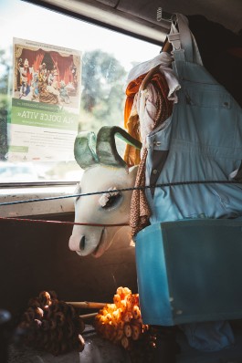 VERENA MÜLLER  Fotografie