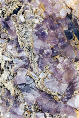 VERENA MÜLLER  Fotografie