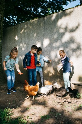 VERENA MÜLLER  Fotografie