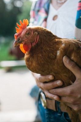 VERENA MÜLLER  Fotografie