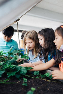 VERENA MÜLLER  Fotografie