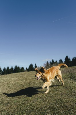 VERENA MÜLLER  Fotografie