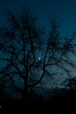 VERENA MÜLLER  Fotografie