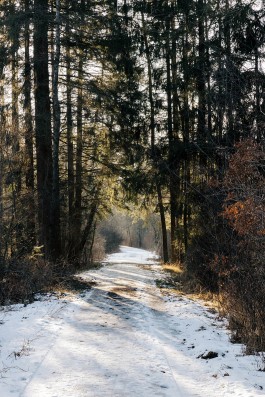 VERENA MÜLLER  Fotografie