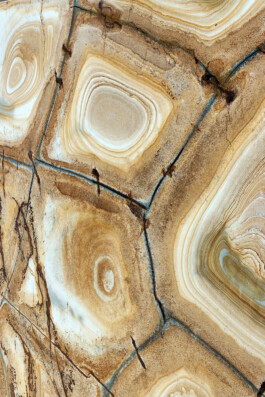 VERENA MÜLLER  Fotografie