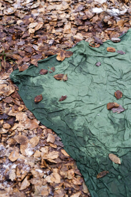 VERENA MÜLLER  Fotografie