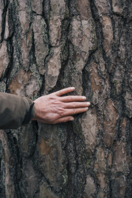 VERENA MÜLLER  Fotografie