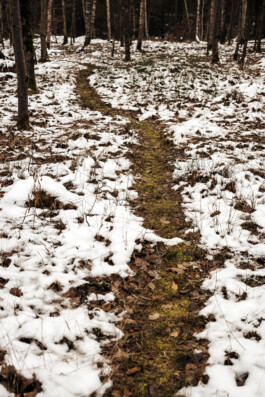 VERENA MÜLLER  Fotografie