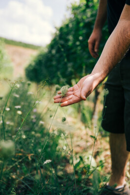VERENA MÜLLER  Fotografie
