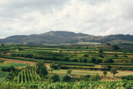 VERENA MÜLLER  Fotografie