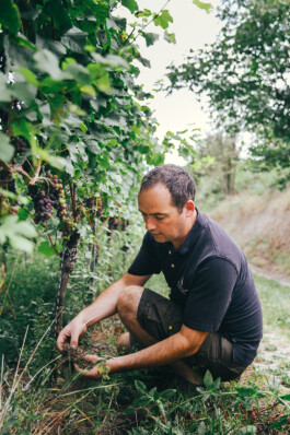 VERENA MÜLLER  Fotografie