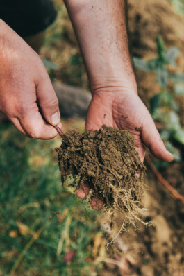 VERENA MÜLLER  Fotografie