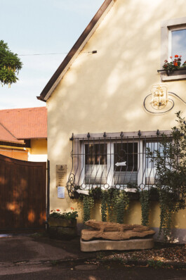 VERENA MÜLLER  Fotografie