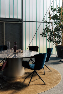 VERENA MÜLLER  Fotografie