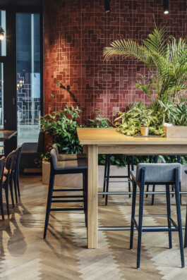 VERENA MÜLLER  Fotografie