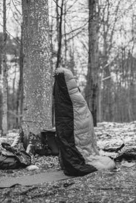 VERENA MÜLLER  Fotografie