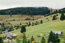 VERENA MÜLLER  Fotografie