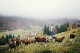 VERENA MÜLLER  Fotografie