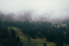 VERENA MÜLLER  Fotografie