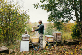VERENA MÜLLER  Fotografie