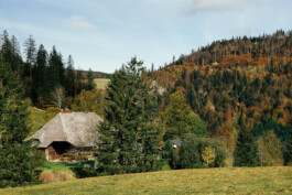 VERENA MÜLLER  Fotografie