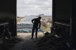 VERENA MÜLLER  Fotografie