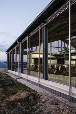 VERENA MÜLLER  Fotografie