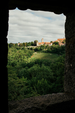 VERENA MÜLLER  Fotografie