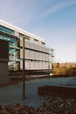 VERENA MÜLLER  Fotografie