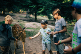VERENA MÜLLER  Fotografie