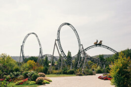 VERENA MÜLLER  Fotografie