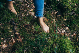 VERENA MÜLLER  Fotografie